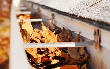 Brown Street gutter cleaning companies