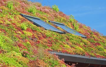 Brown Street living roof systems