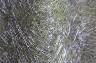 Brown Street fibreglass roof work