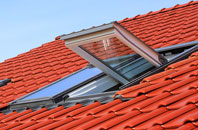 Brown Street roof window